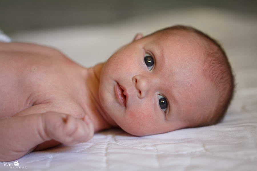 Corvallis Newborn Photography