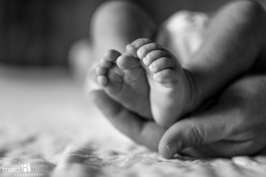 Corvallis photographer - newborn - feet