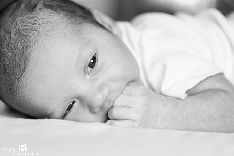 Newborn photographer - Willamette Valley