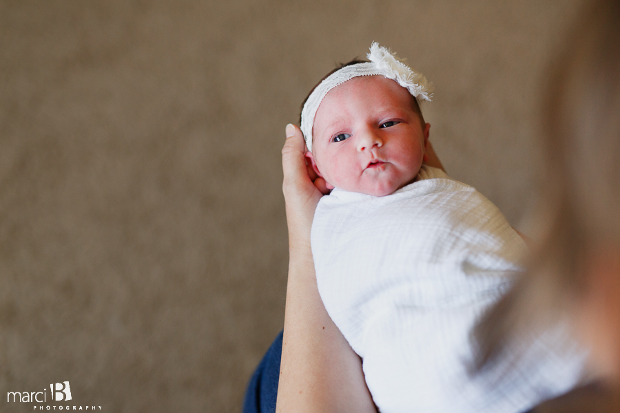 Albany newborn photos