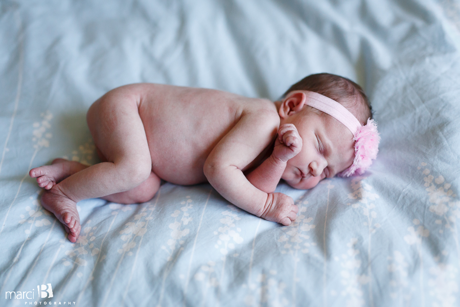 Albany newborn photography 