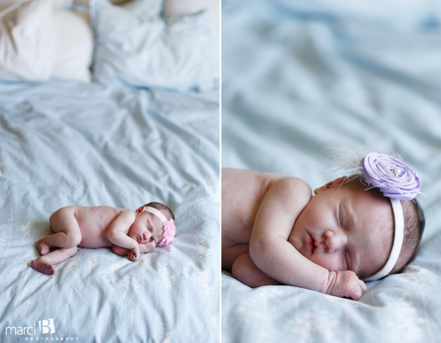 Albany newborn photography
