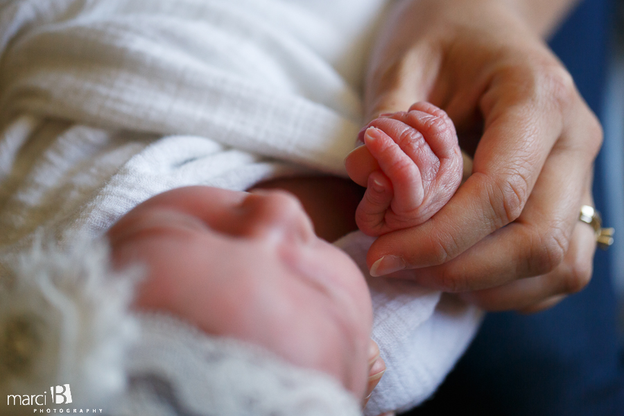 Albany newborn photography