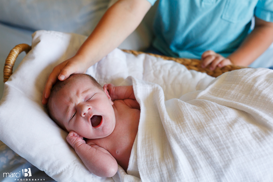 Albany newborn photography