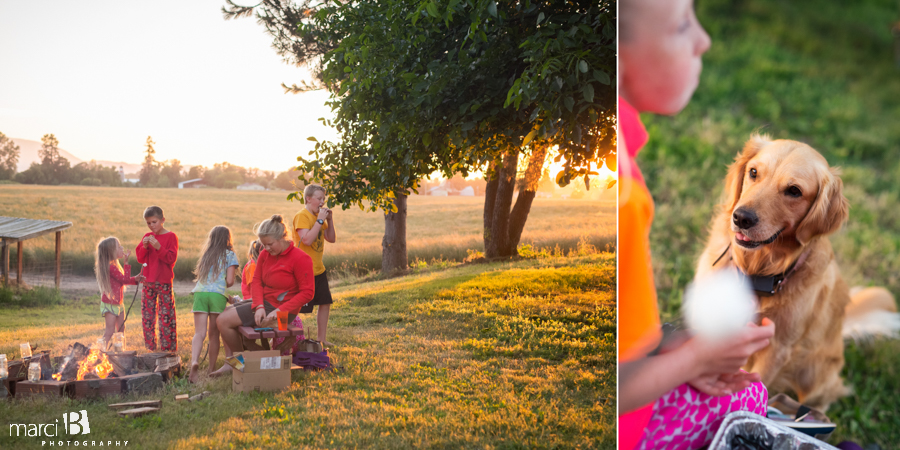 Family photos - summer nights - roasting marshmellows - family dog