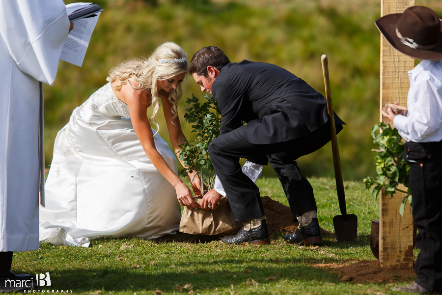 wedding ceremony - planting a tree together