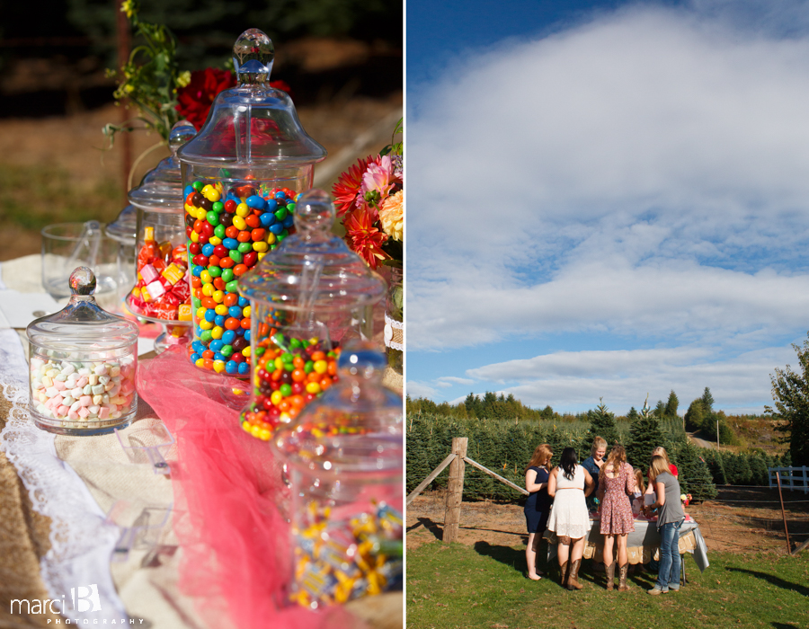wedding reception - candy table