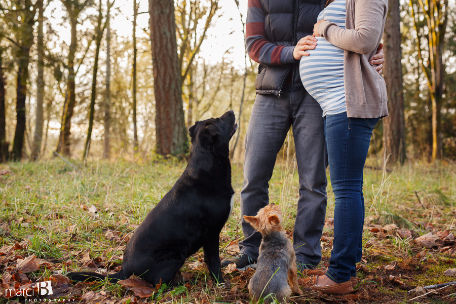 Corvallis maternity photography - photos - Maternity photographer