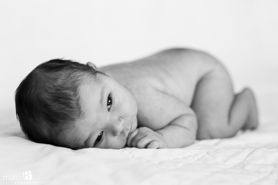 so little - newborn - photos