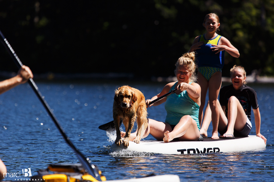 dog on paddleboard - tower paddleboard - camping with kids and dog