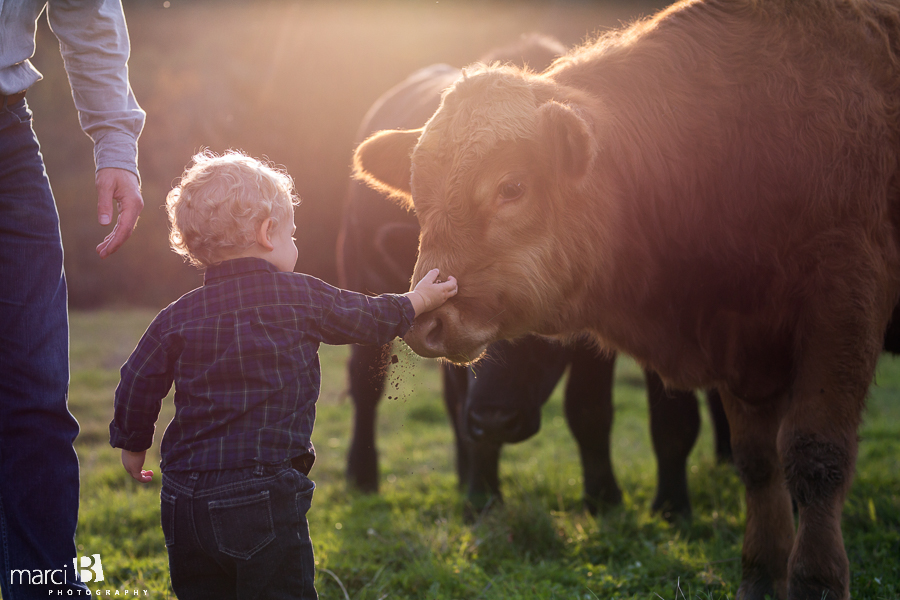 family photos - pictures on a farm - young family photos - Corvallis photographer - fall family portraits