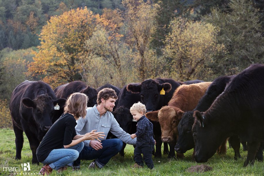 family photos - pictures on a farm - young family photos - Corvallis photographer - fall family portraits