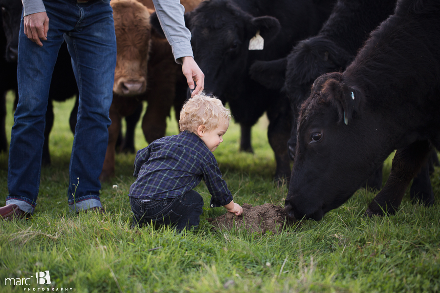 family photos - pictures on a farm - young family photos - Corvallis photographer - fall family portraits