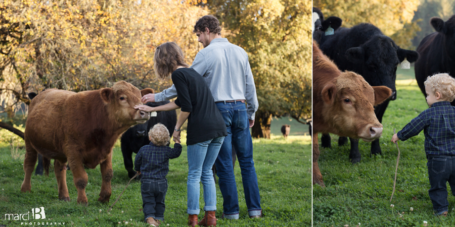 family photos - pictures on a farm - young family photos - Corvallis photographer - fall family portraits