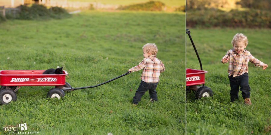 family photos - pictures on a farm - young family photos - Corvallis photographer - fall family portraits