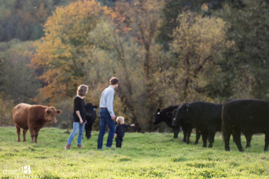 family photos - pictures on a farm - young family photos - Corvallis photographer - fall family portraits