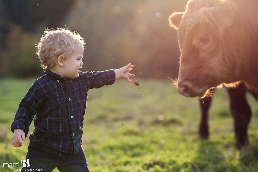 family photos - pictures on a farm - young family photos - Corvallis photographer - fall family portraits