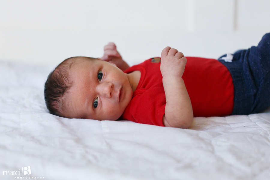 newborn photography - baby portraits - photos of newborn baby and siblings