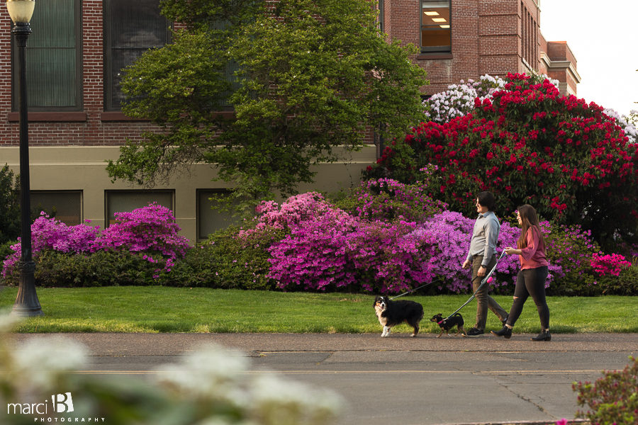 Oregon State University Graduation Photos - headshots - OSU campus - Corvallis - senior pictures