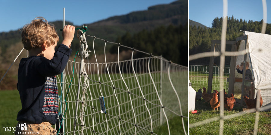 family photos in oregon coast range - young boy enters chicken pen to find eggs