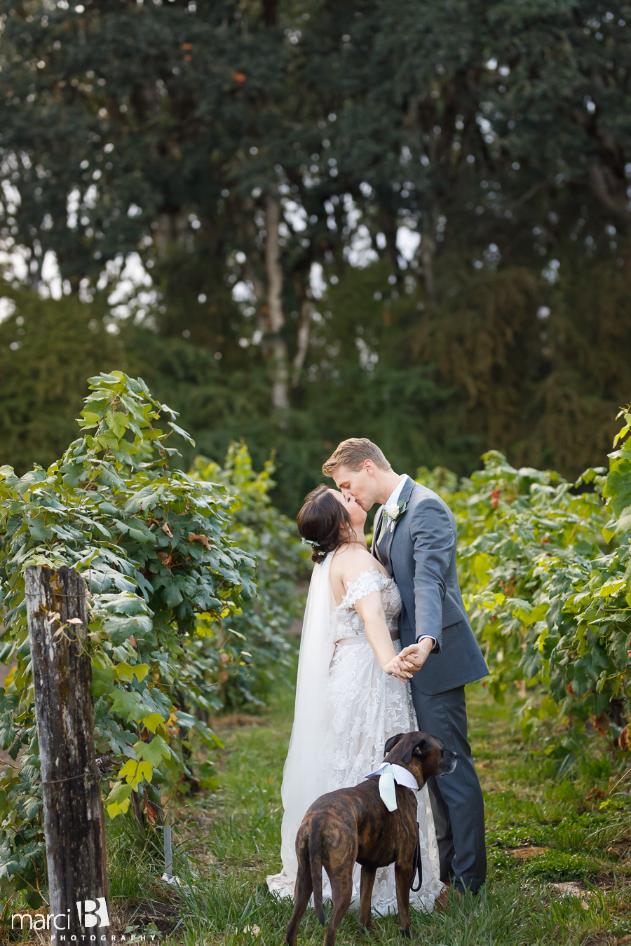 bride and groom with best dog in vineyard in corvallis wedding